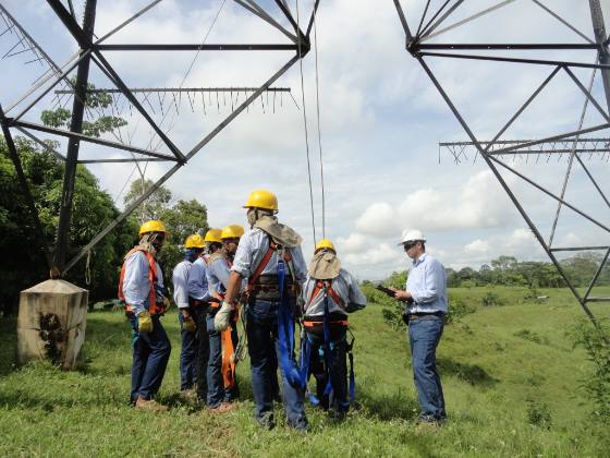 Cinco S.A.S. — Construcción de redes en campo