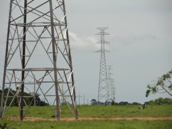 Cinco S.A.S. — Construcción de redes en campo