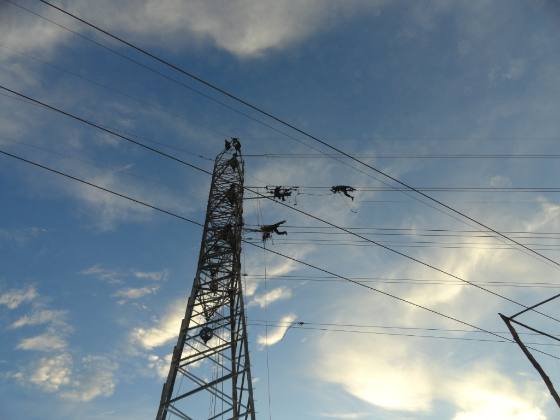 Cinco S.A.S. — Construcción de redes en campo