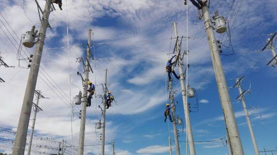 Cinco S.A.S. — Construcción de redes en campo